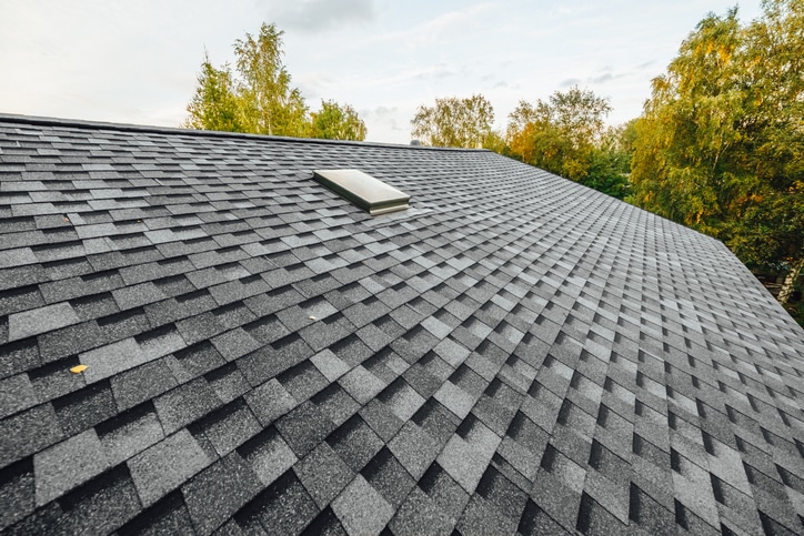 roof of new house