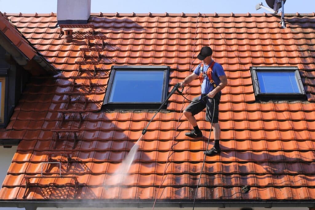 Roof cleaning